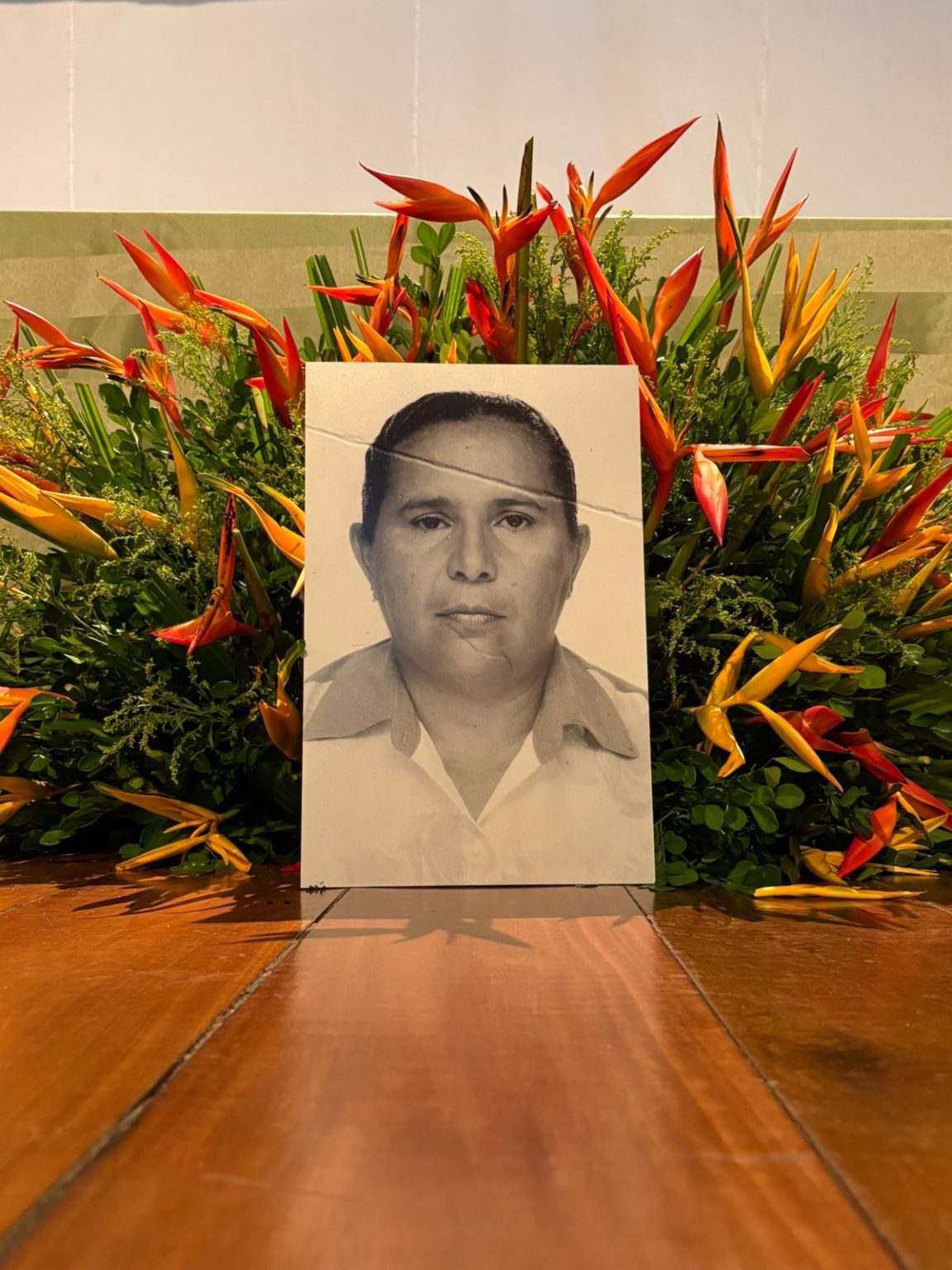 Foto: Luana Appel dos Santos GEDMMA | UFMA)